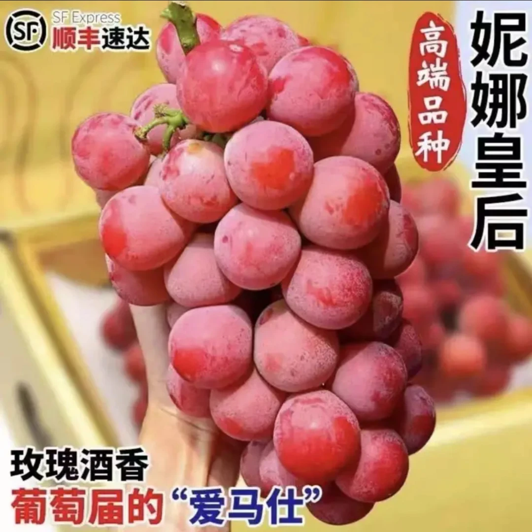 【顺丰包邮 】妮娜皇后大果葡萄优质精品包装送礼尝鲜坏果包赔