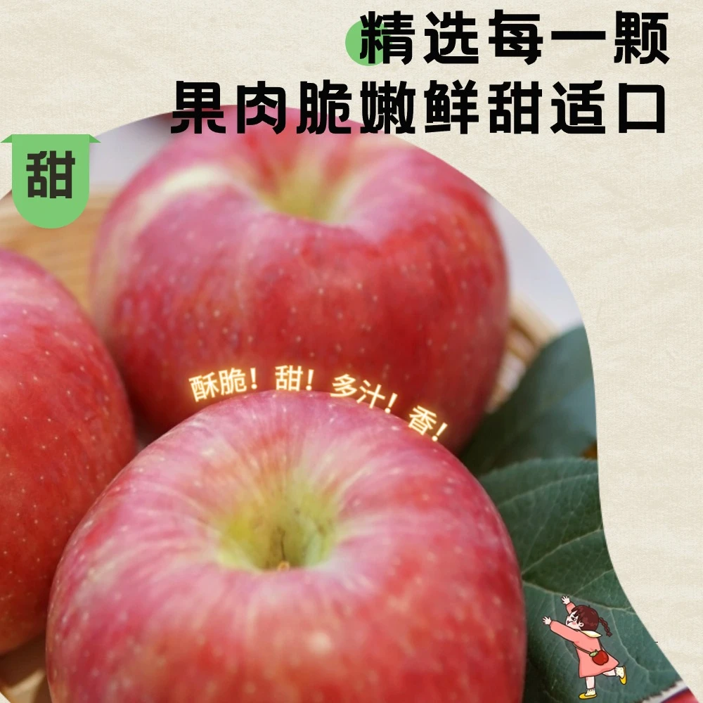 【旭峥果蔬】2斤尝鲜陕西白水秦脆苹果脆甜2斤宝宝果6个装