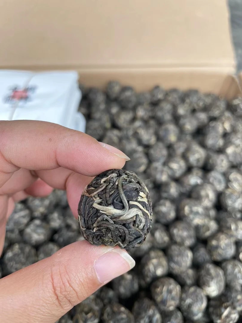 2023年古树龙珠生