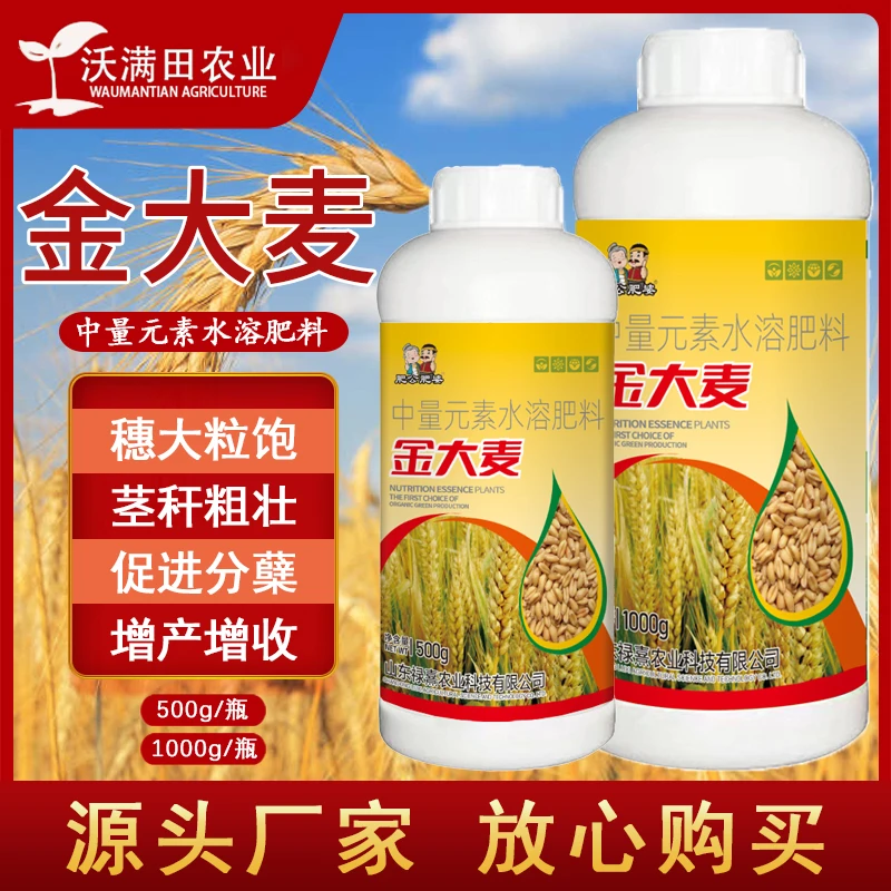 金大麦小麦定根蹲苗壮杆促分蘖灌浆孕穗抗旱抗倒伏籽粒饱满叶面肥