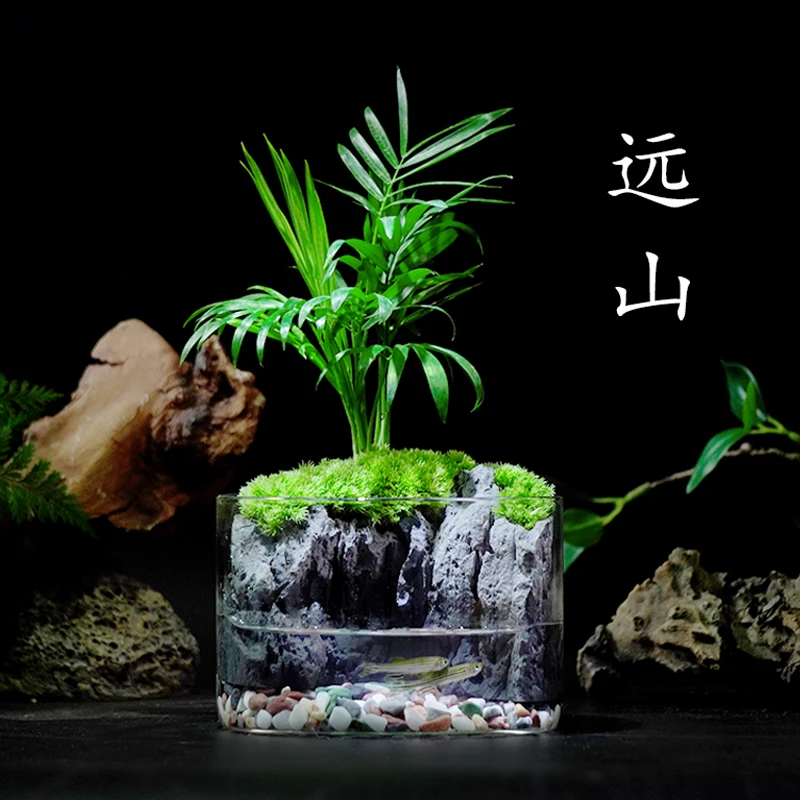 植易【远山】袖珍椰子ins绿植桌面微景观精致盆栽生态玻璃瓶12*8