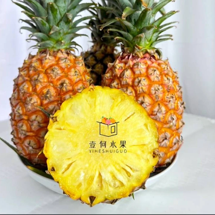 【壹何水果】海南金钻凤梨1.5斤新鲜水果菠萝香甜多汁无眼口感汁水