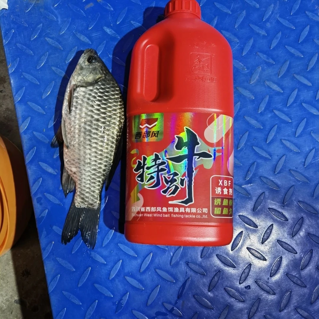 正品特别牛窝料西部添加xbf诱鱼快留鱼久打窝米鲫鱼诱食剂野钓