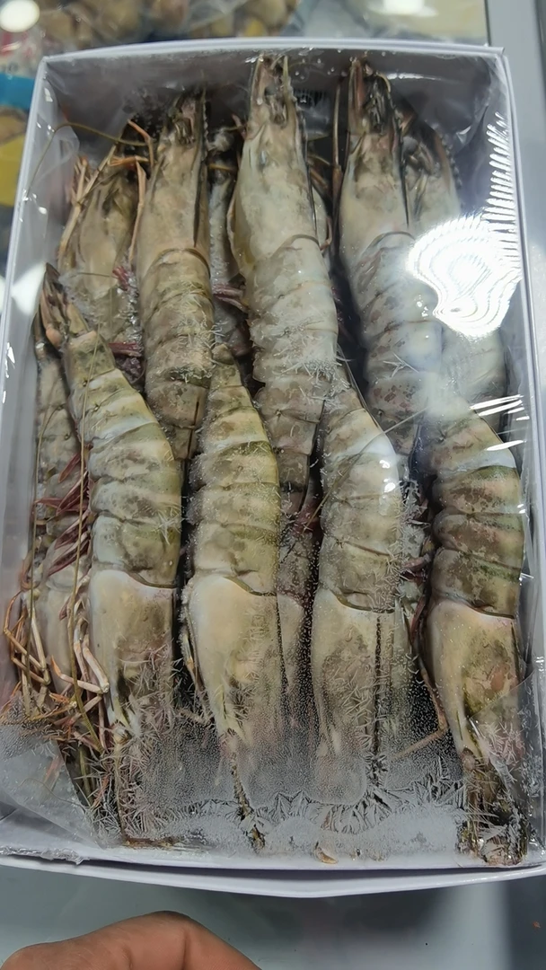 对虾1盒