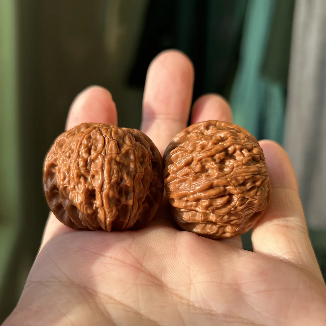 同款山地磨盘定向链接（非直播时主页粉丝群选择核桃）