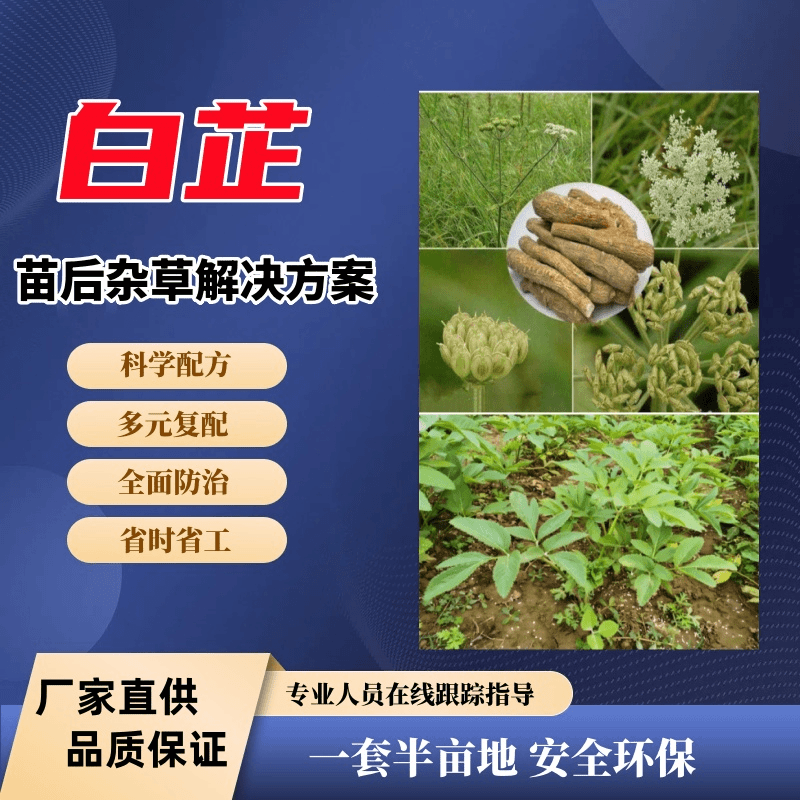 白芷除草专用助剂多元复配科学配方安全无残留厂家直销