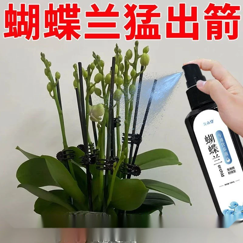 蝴蝶兰专用肥兰花营养液文心兰君子兰促开花拯救黄叶烂根免稀释