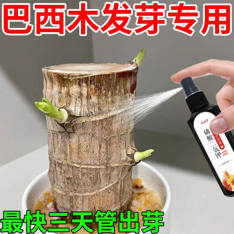 【久木堂】巴西木营养液专用发芽补微量元素促生长生根新叶防烂根