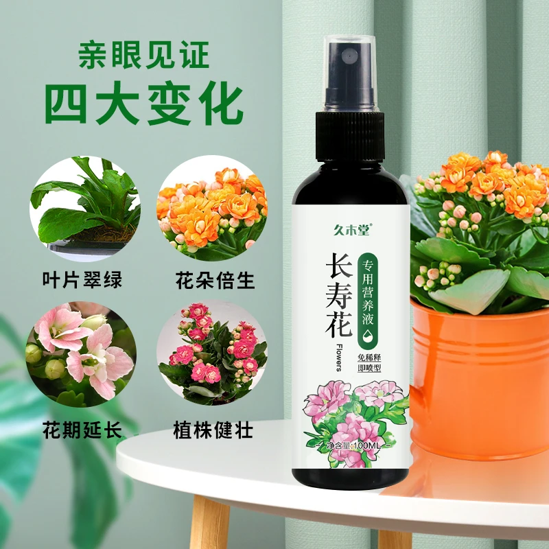 长寿花营养液促花开防花苞枯萎掉落叶黄不开花防烂根增花蕾植物肥