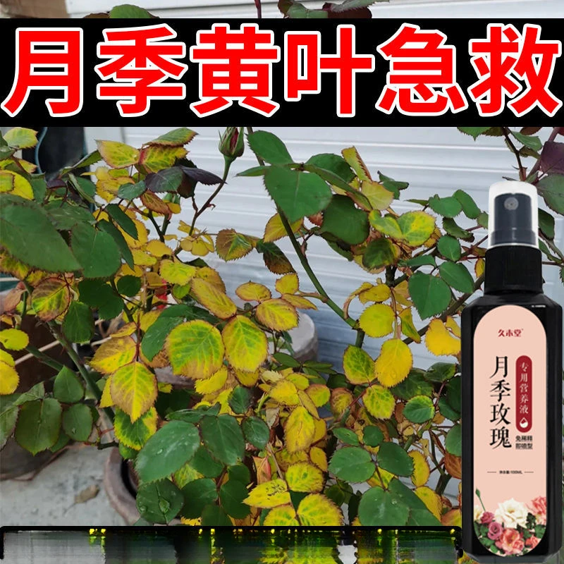 月季玫瑰营养液防黄叶落叶生长缓慢促生长促开花长新叶免稀释肥料