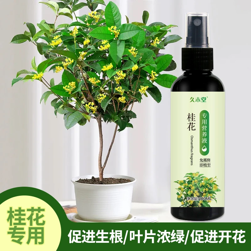 【桂花专用】营养液 防黄叶掉叶干尖微量元素免稀释治黄叶急救肥花