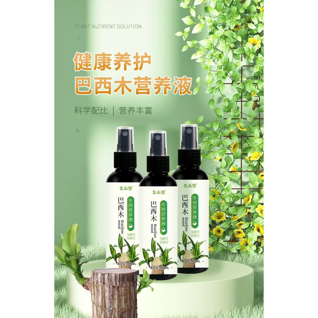 巴西木营养液幸运木水培促爆芽生根防底部发霉黄叶巴西木专用肥料