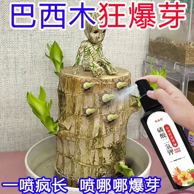 巴西木专用营养液免稀释 肥料叶子发黄去黄叶急救催发芽液态肥