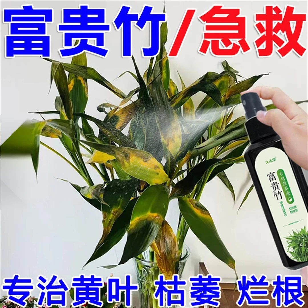 急救】富贵竹水培土培专用营养液专治黄叶枯萎烂根促生根免稀释绿