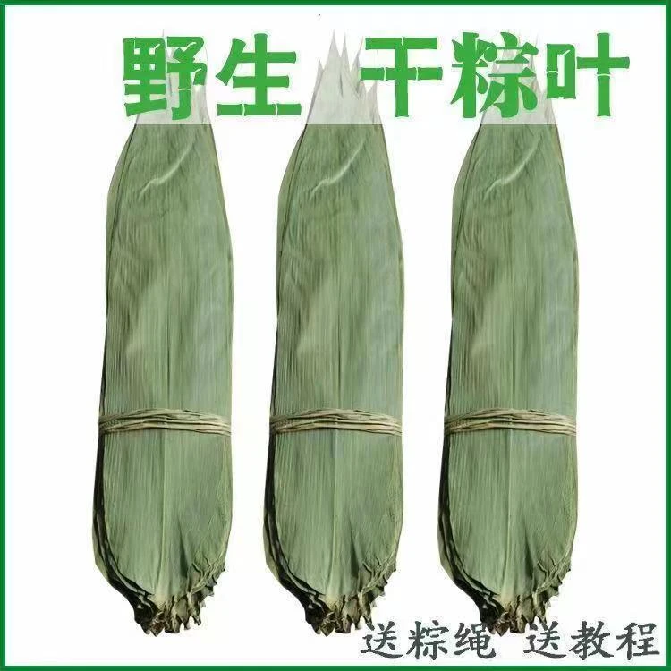 干粽叶大号特大码粽子箬竹叶新鲜家用包粽子端午商用大棕叶