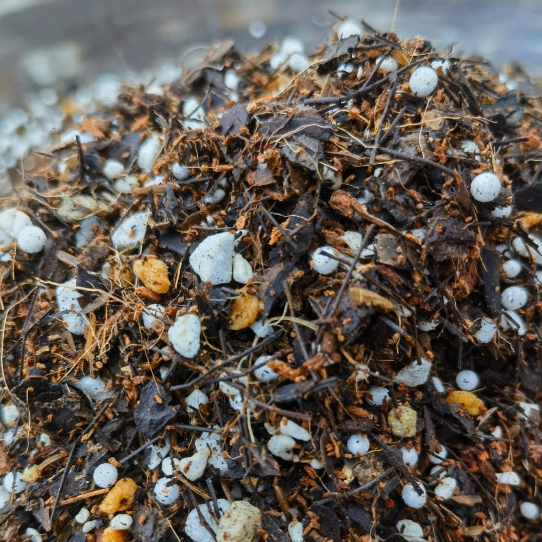 30升圣地兰苑专用兰花“粗加细”植料，自然发酵，全面杀菌。