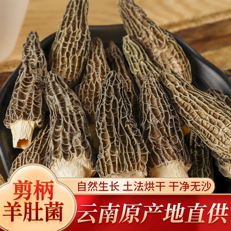精选羊肚菌干货新鲜菌菇煲汤营养食严选云南特产美味食用佳品饱满