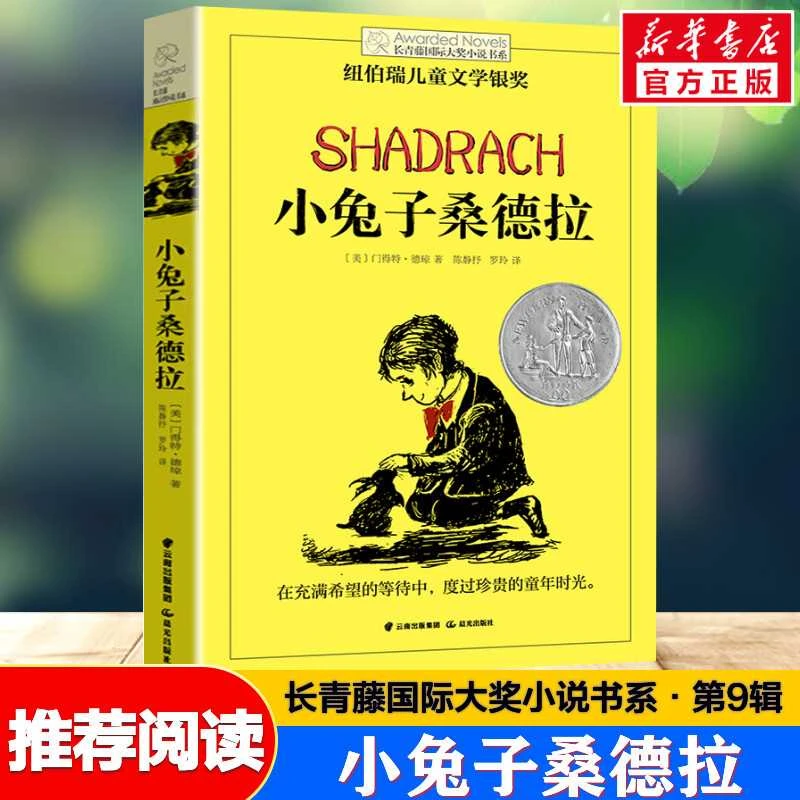 小兔子桑德拉 长青藤大奖小说书系纽伯瑞儿童文学金奖 8-10-1