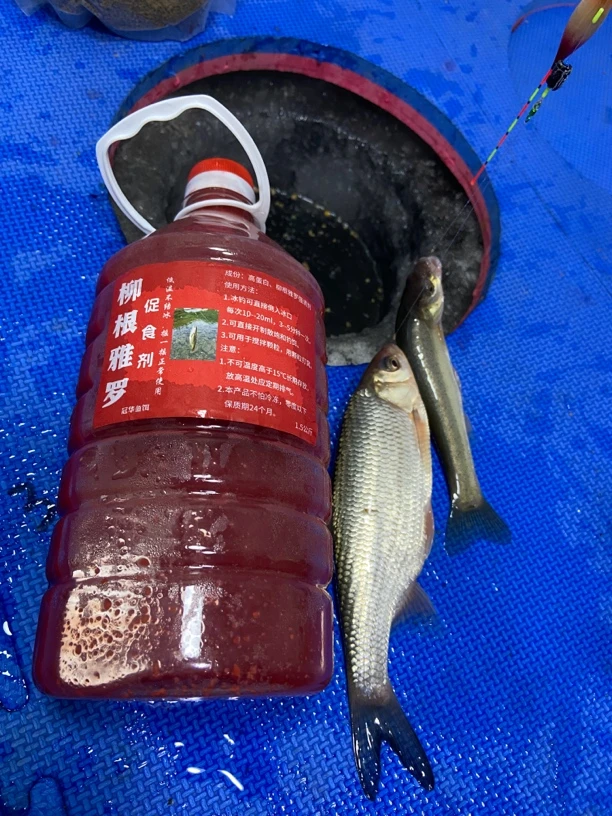 柳根雅罗促食剂1.5公斤低温不结冰直接倒入冰口可搅拌颗粒开散炮