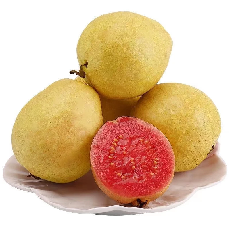 【广西玉林】红心软芭乐软糯番石榴3斤当季新鲜包邮口感香甜多汁