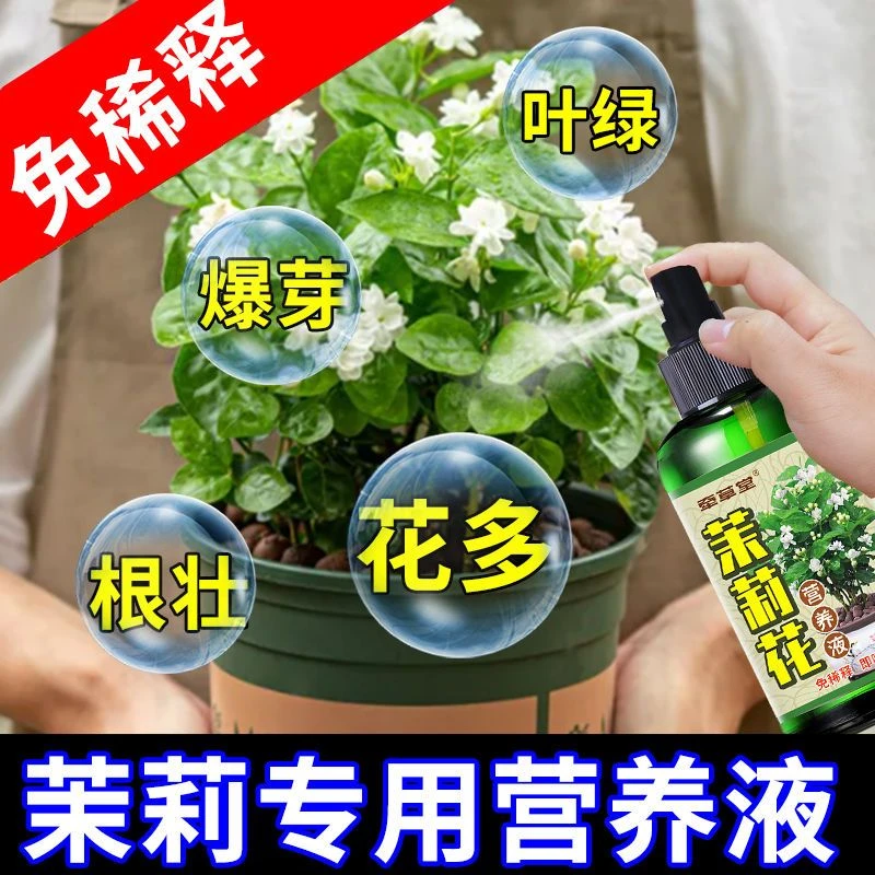 茉莉干枯营养液枯枝不发芽僵苗生长慢黑叶枝条细软催花专用肥