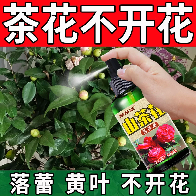 茶花营养液催花肥肥料免稀释四季茶花专用土有机肥
