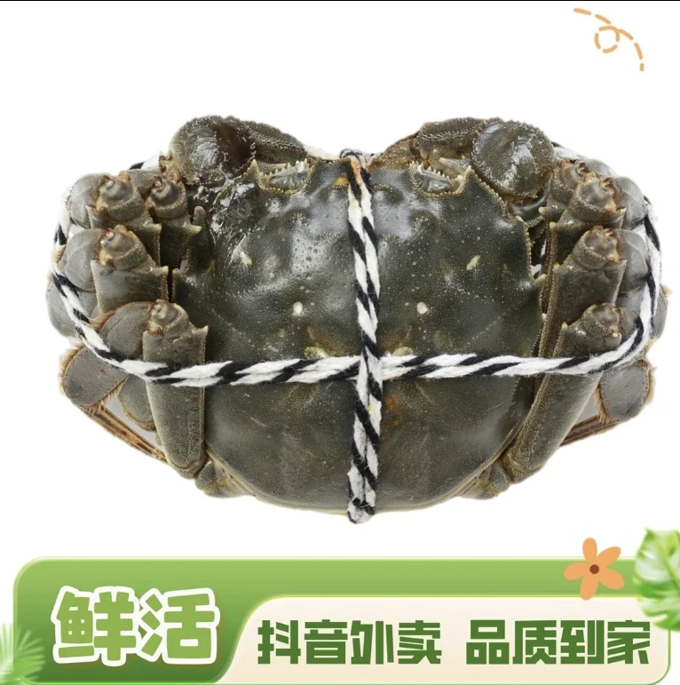 鲜活大闸蟹（母）2两半（125g±10g）