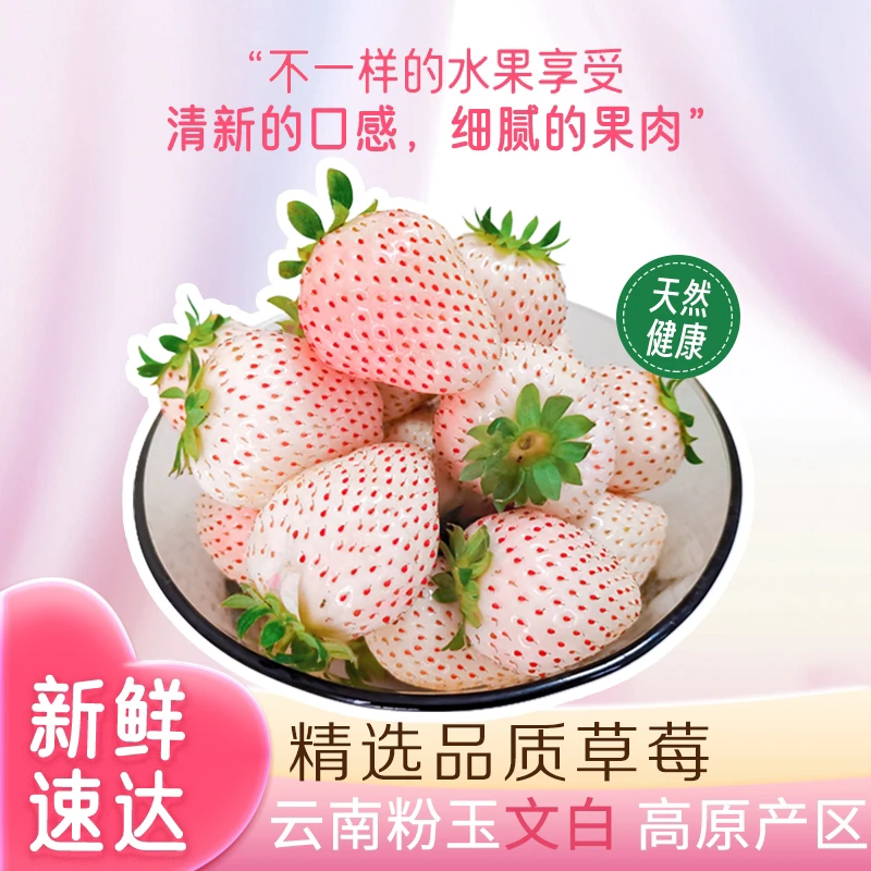 【顺丰空运】云南新鲜粉玉淡雪白草莓现摘现货饱满香甜浓郁升级600g