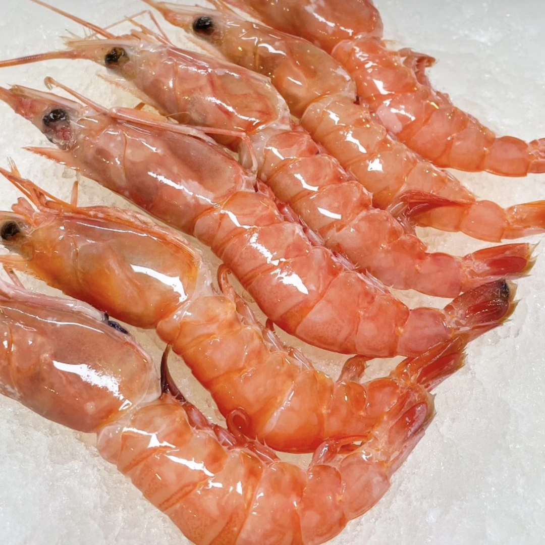 舟山野生红虾3斤 新鲜船冻 （刺身级 炸炒煎煮 ）