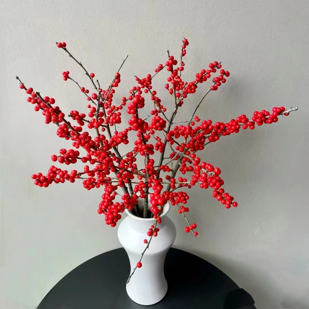 【雨柔精选】冬青云南基地高品质鲜切花  花期长好养护发冷链保鲜