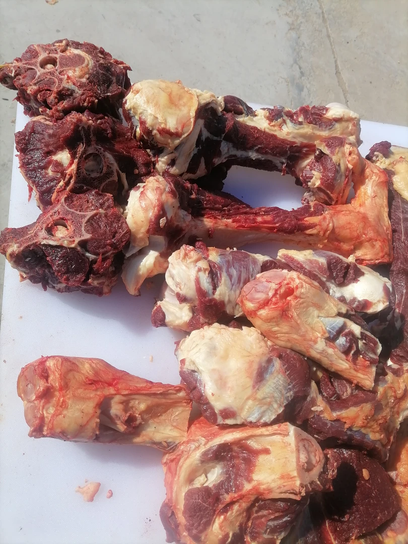 带肉大骨头混装 草原溜达黄膘牛肉 锡林郭勒牧民自己养的小笨牛