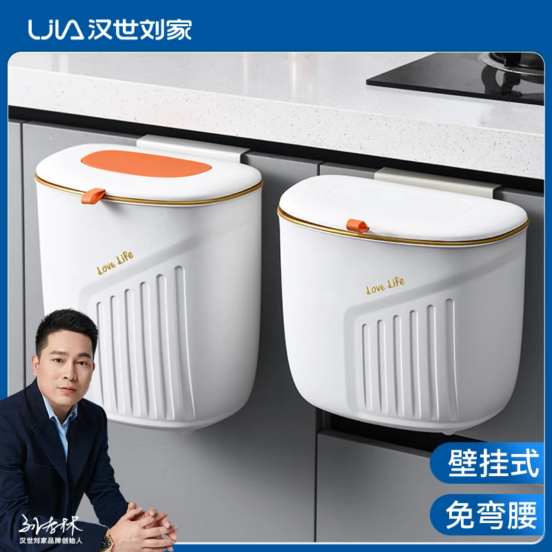 汉世刘家大容量垃圾桶壁挂式带盖双桶橱柜门免打孔轻奢免弯腰大号