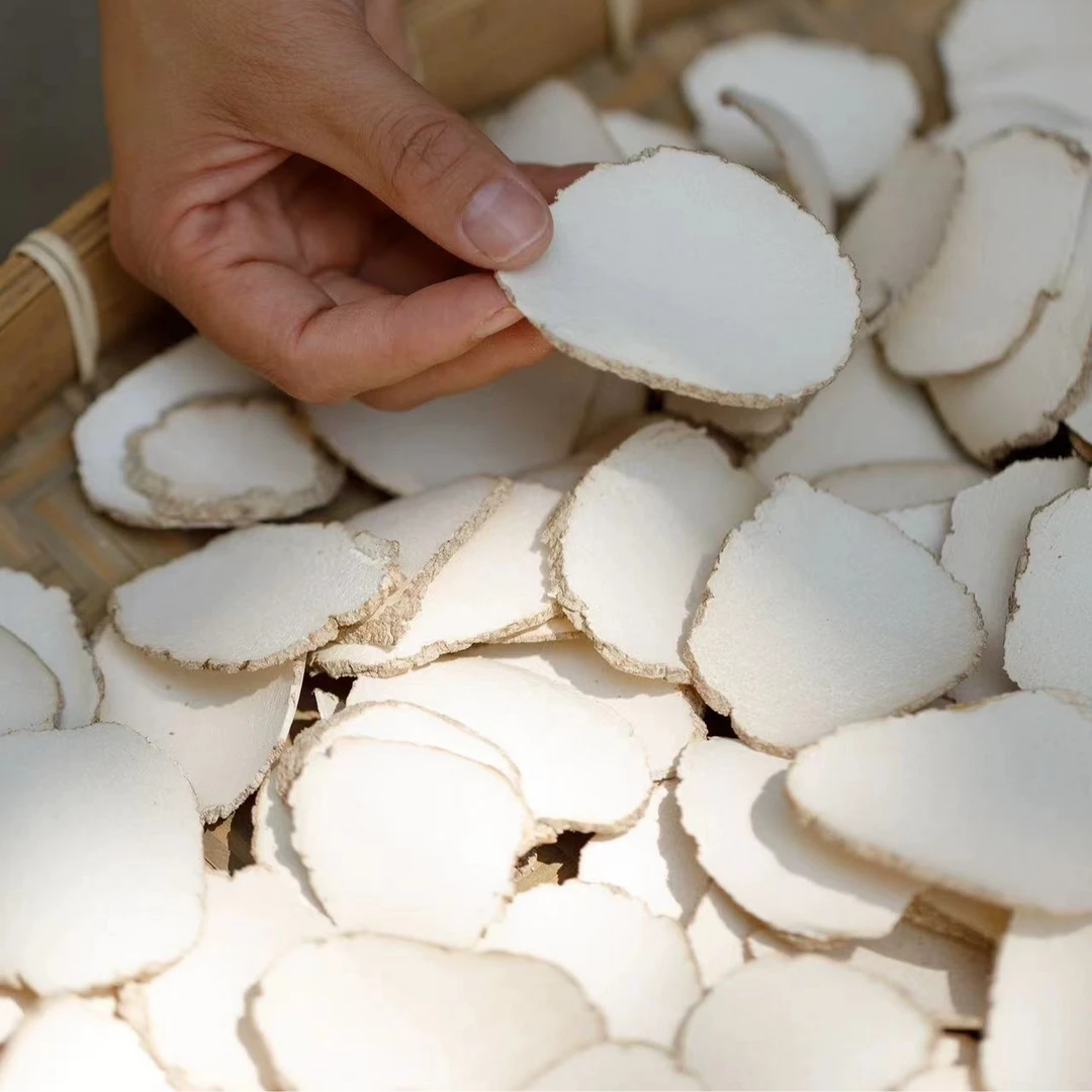 HAIQINTANG/海沁堂鱼胶滋补虎奶菌大片干货1g-500g