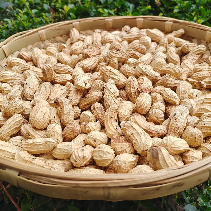 【黑花生】云南特产黑花生500克农产品食用带壳小粒黑花生