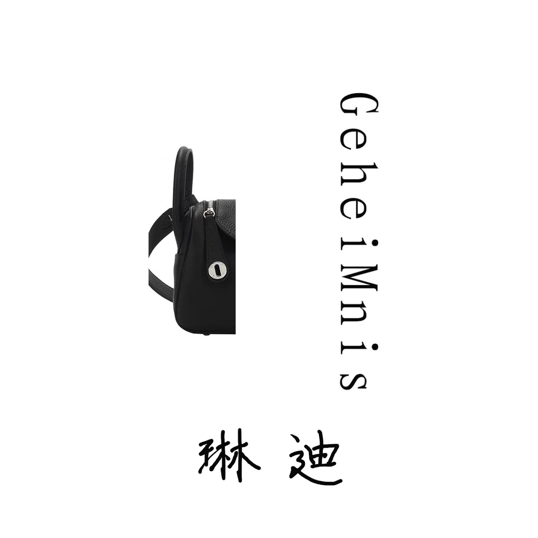 琳迪-19cm 手提斜挎轻奢时尚简约经典时尚手提 女包单肩