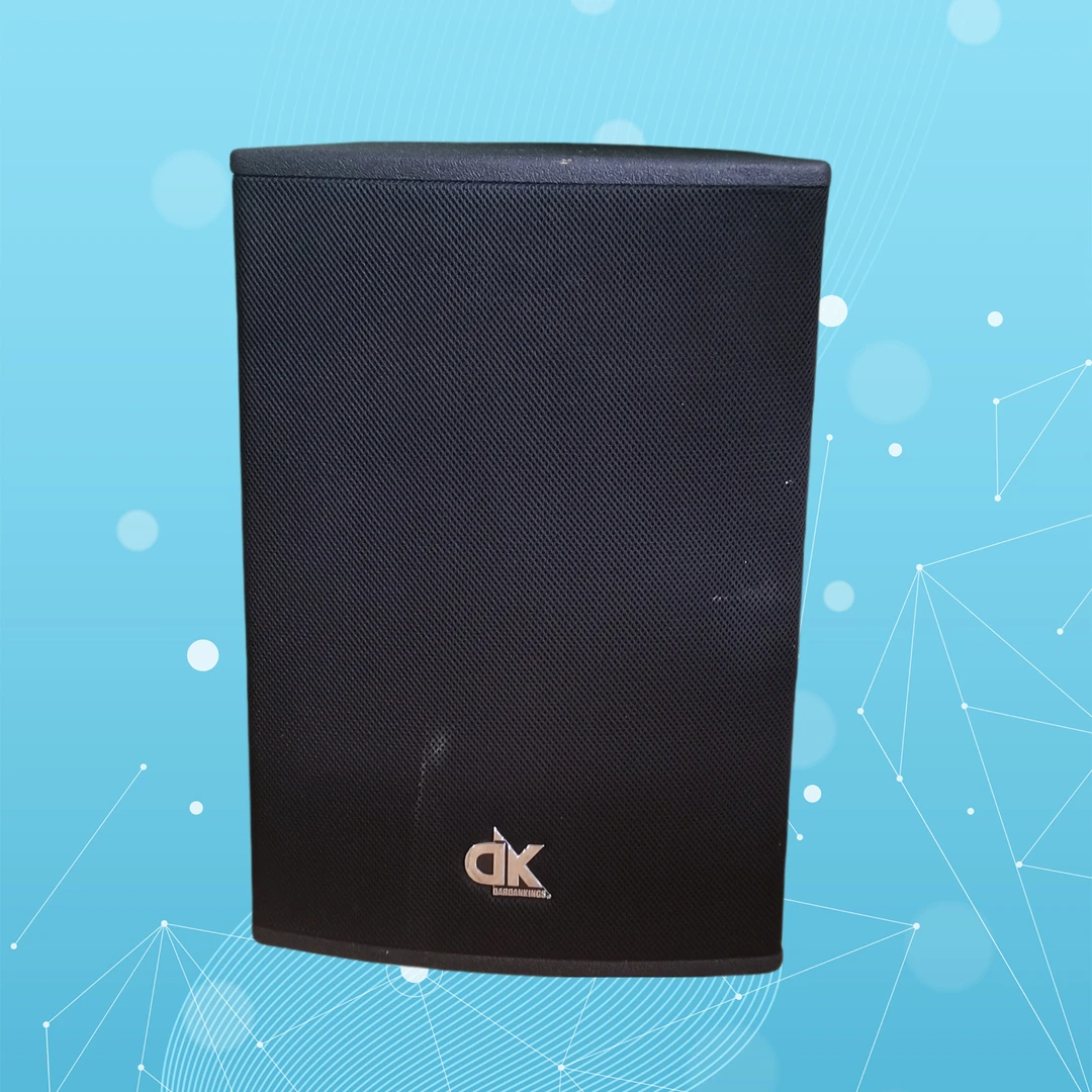 9新  不包邮英国DK10寸专业音箱一对同轴音箱实物拍摄成色很新