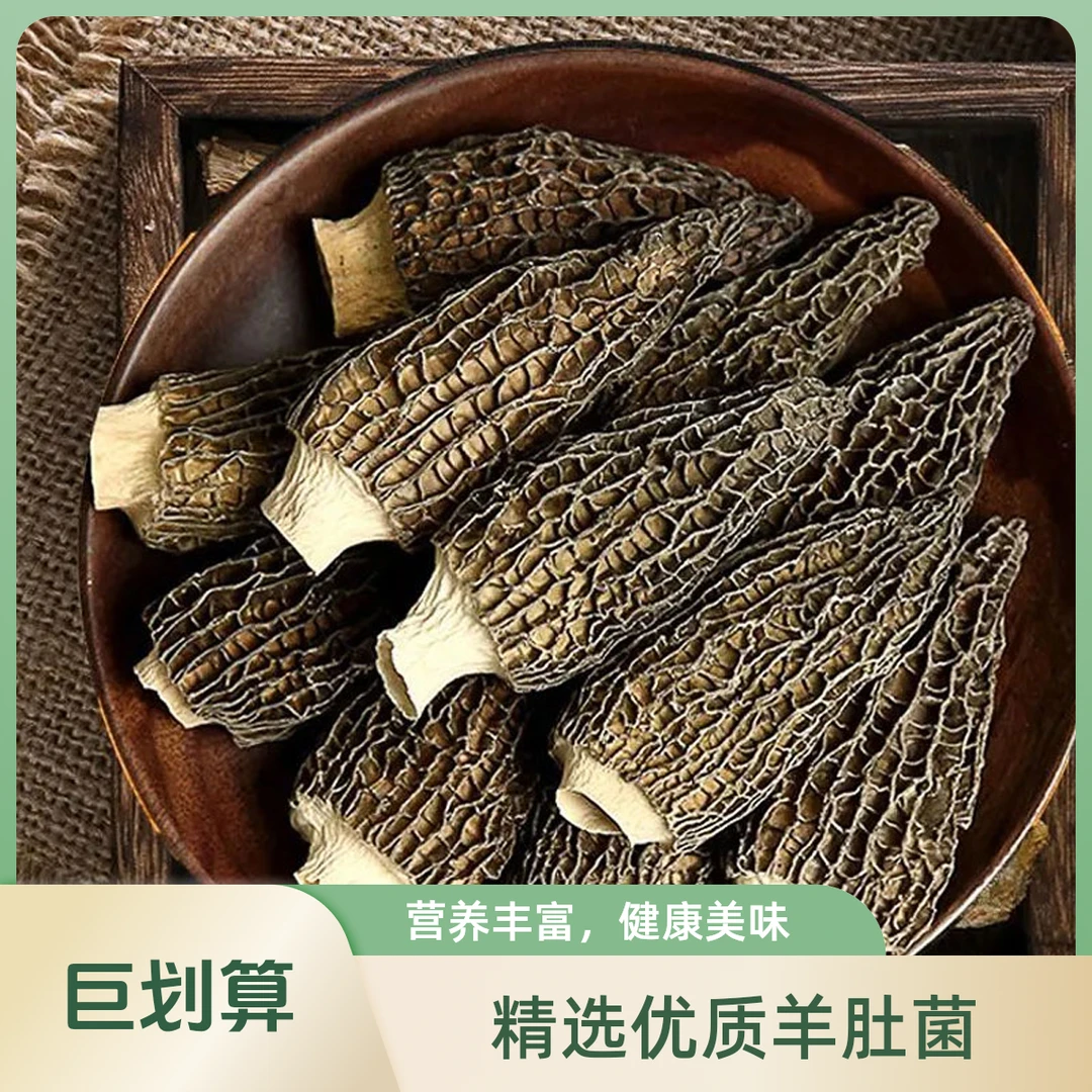 【羊肚菌】新鲜鲜美林地高品质炖鸡煲汤包饱满厚实鲜营养产地干货
