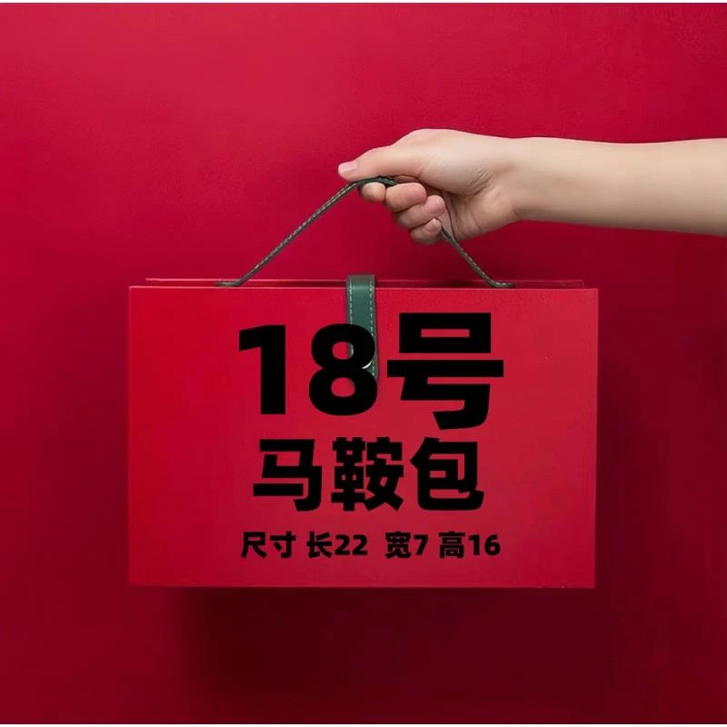 【18号】BL2024新款休闲轻奢双肩横拉背包307