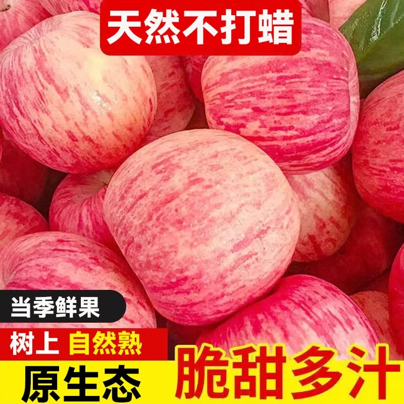 当季陕西红富士苹果新鲜水果5斤苹果脆甜不打蜡冰糖心丑苹果特价