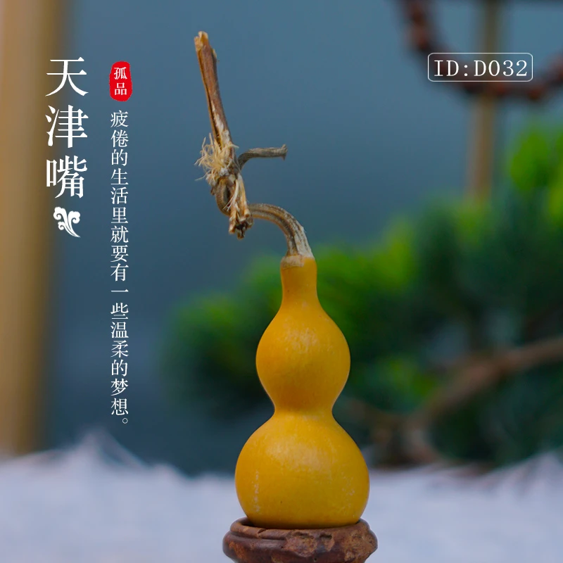 ⑤天津嘴正宗手捻精品天津嘴葫芦孤品宝贝