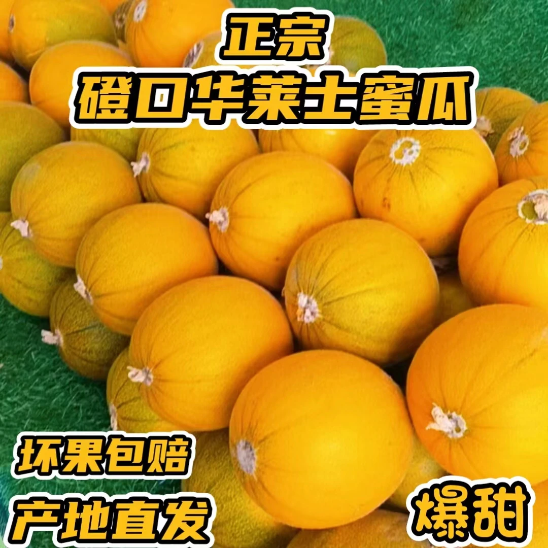 正宗磴口华莱士蜜瓜4-6颗实惠装爆甜黄金瓜网纹早黄蜜瓜巴盟特产