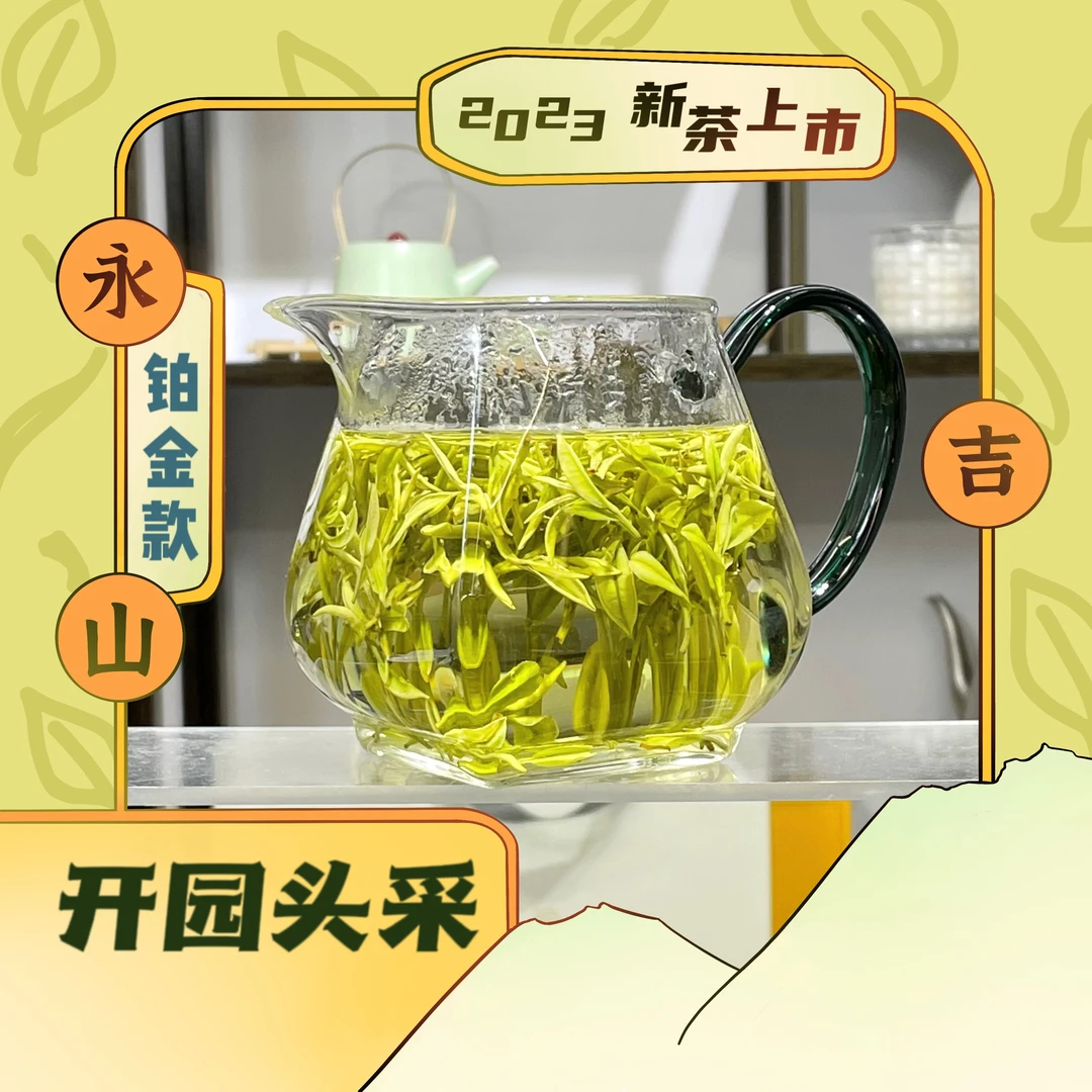 【铂金款】昆铜2023年新茶安吉白茶高山茶兰花香特级茶礼
