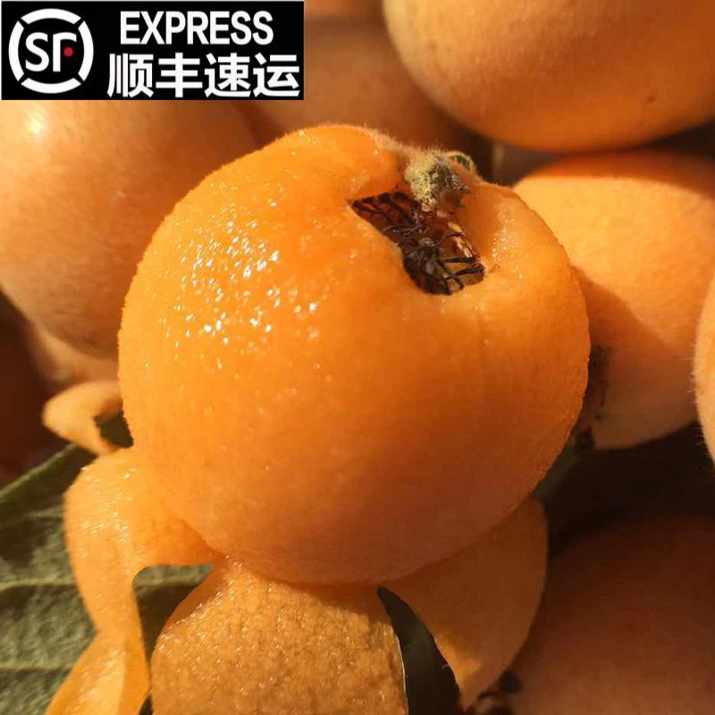 顺丰包邮云南五星大枇杷新鲜当季现摘水果皮薄肉厚金黄饱满多汁果