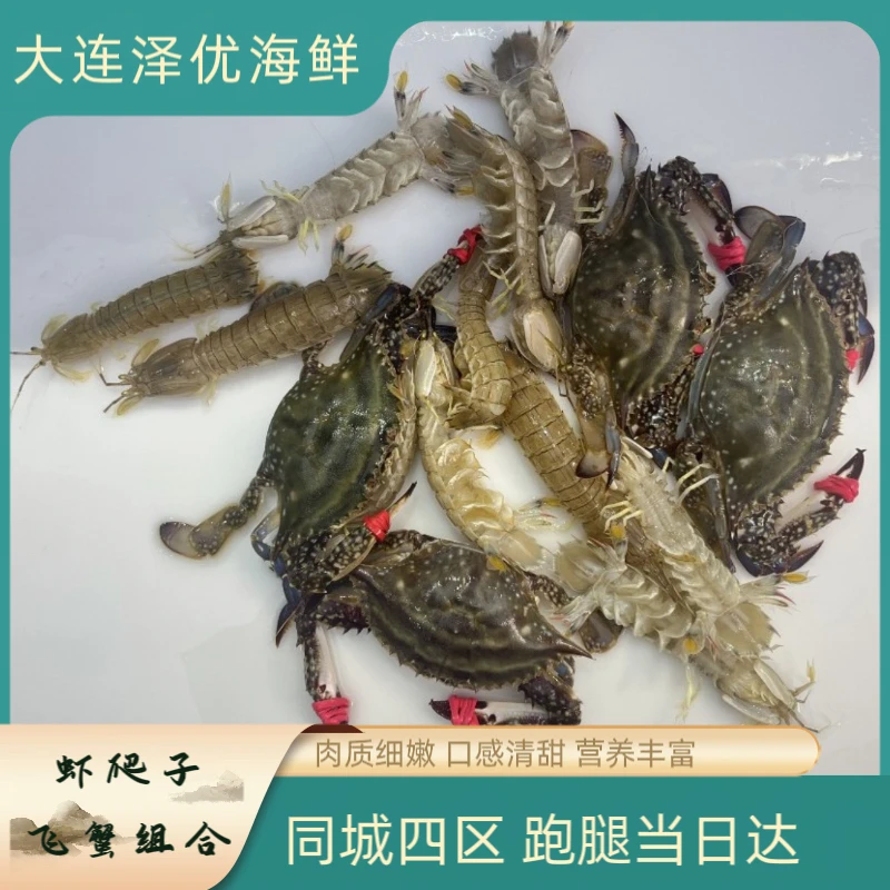 【母飞蟹+虾爬子组合】【保鲜不保活】单只3-8两左右 2斤起