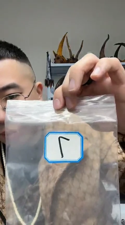 【闪购商品】工艺品根雕7