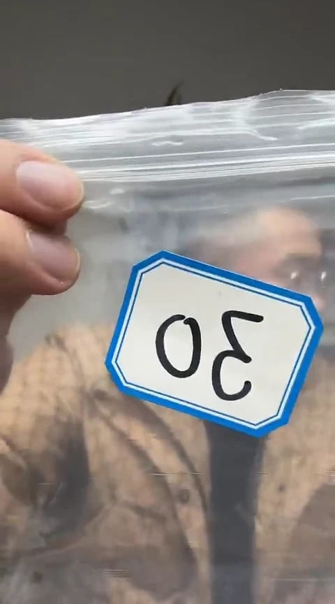 【闪购商品】工艺品根雕30