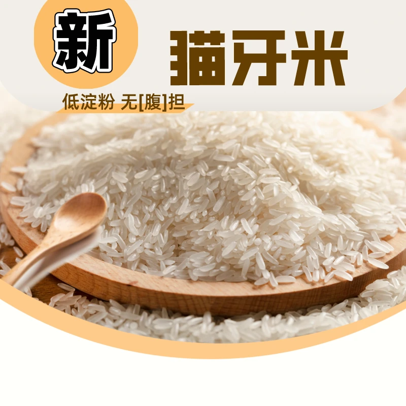 【新人福利】精选长粒猫牙米 当季新米   现磨现发