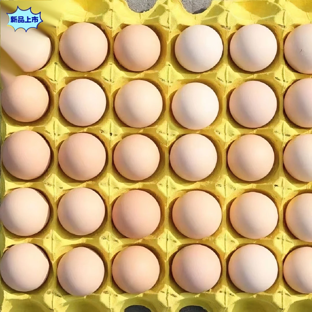 【独立包装】土鸡蛋新鲜乌鸡蛋农家散养柴鸡蛋正宗虫月子早餐蛋优