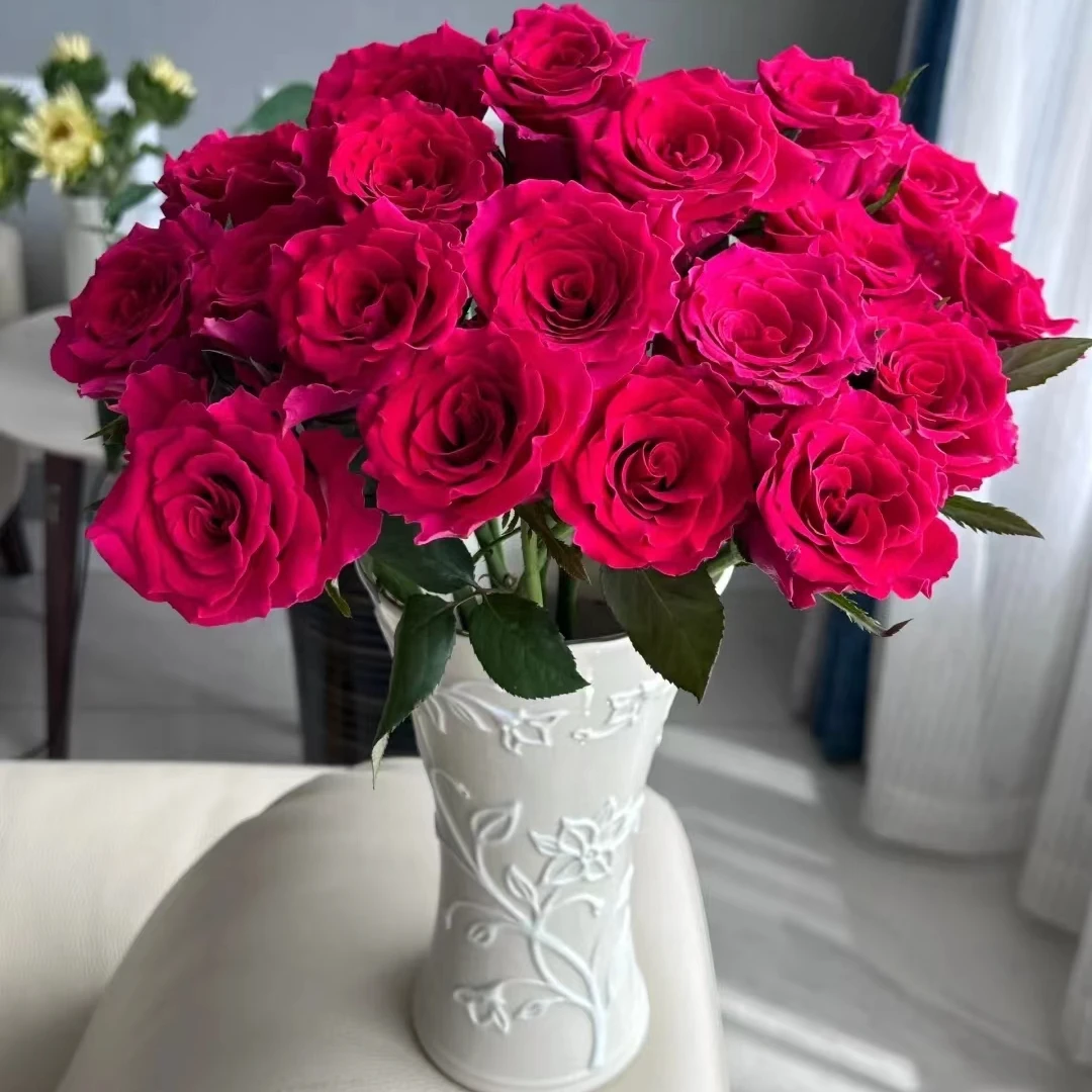 拍市高品质高盛玫瑰20枝
