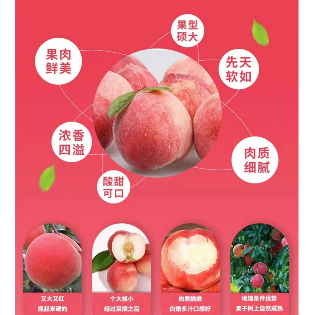 (精品礼盒）北京七号水蜜桃现摘现发16枚装新鲜应季水果包赔口味爆